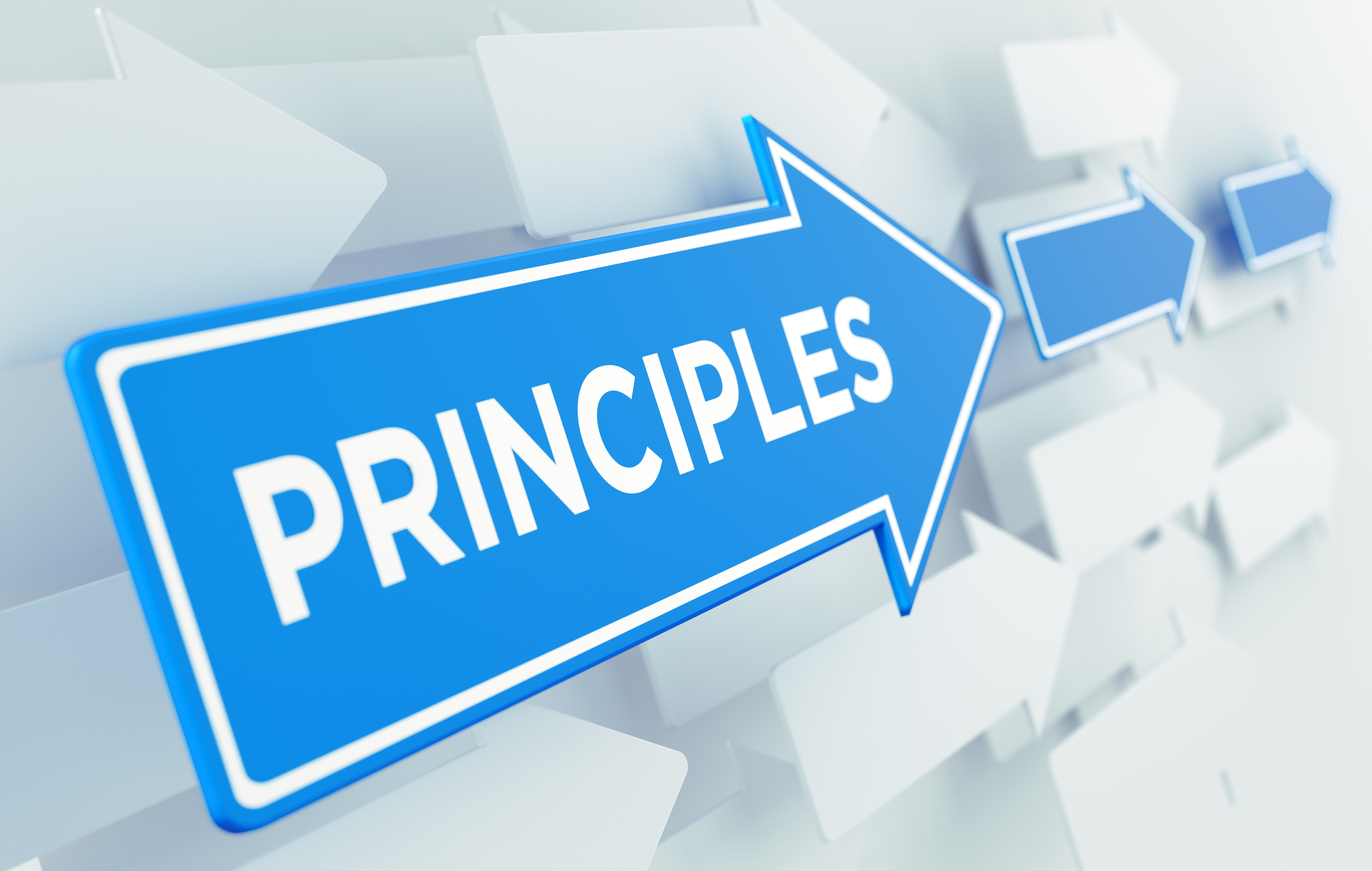  Principles 